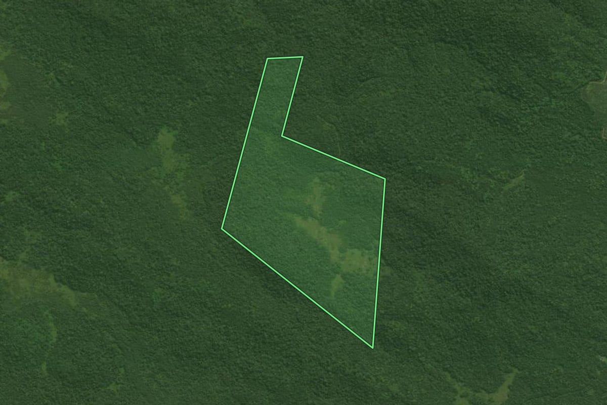 Imagem de satélite do imóvel rural em Antonina (PR), com o contorno declarado no CAR desenhado por cima.