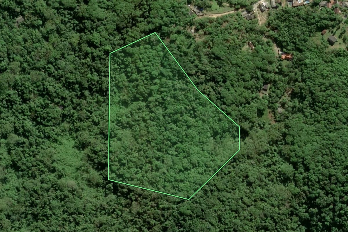 Imagem de satélite do imóvel rural em Antonina (PR), com o contorno declarado no CAR desenhado por cima.