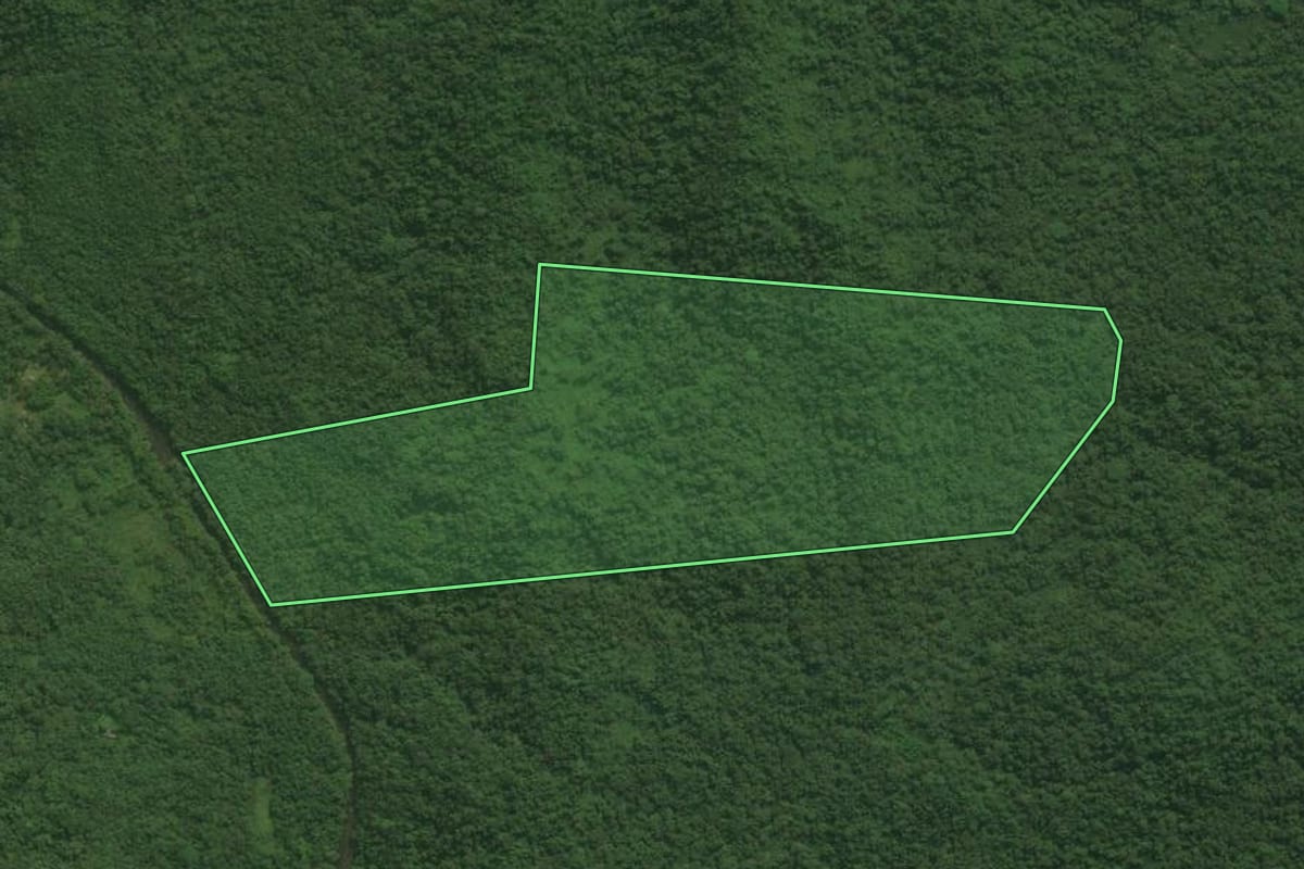 Imagem de satélite do imóvel rural em Antonina (PR), com o contorno declarado no CAR desenhado por cima.