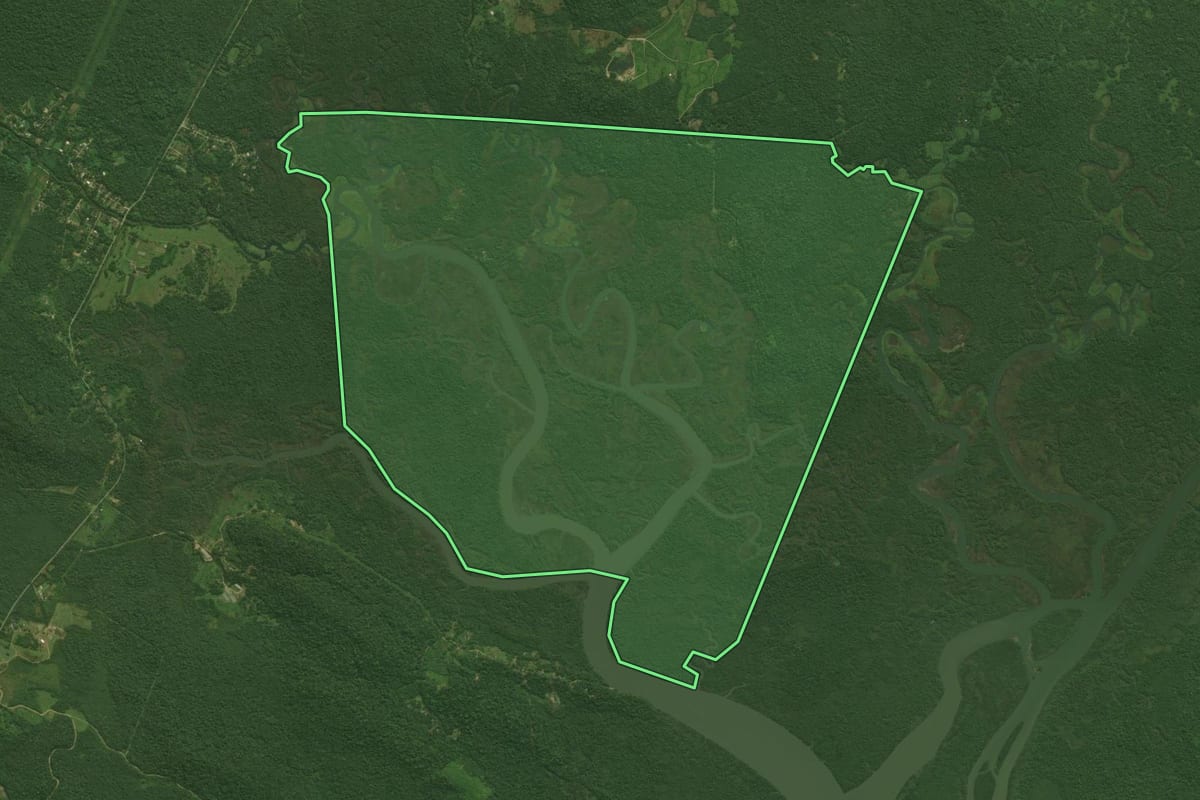 Imagem de satélite do imóvel rural em Antonina (PR), com o contorno declarado no CAR desenhado por cima.
