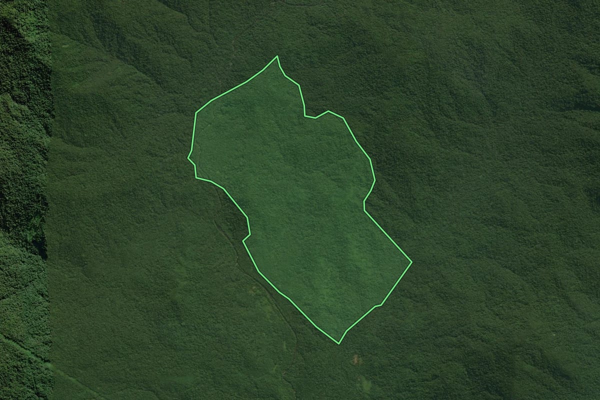 Imagem de satélite do imóvel rural em Antonina (PR), com o contorno declarado no CAR desenhado por cima.