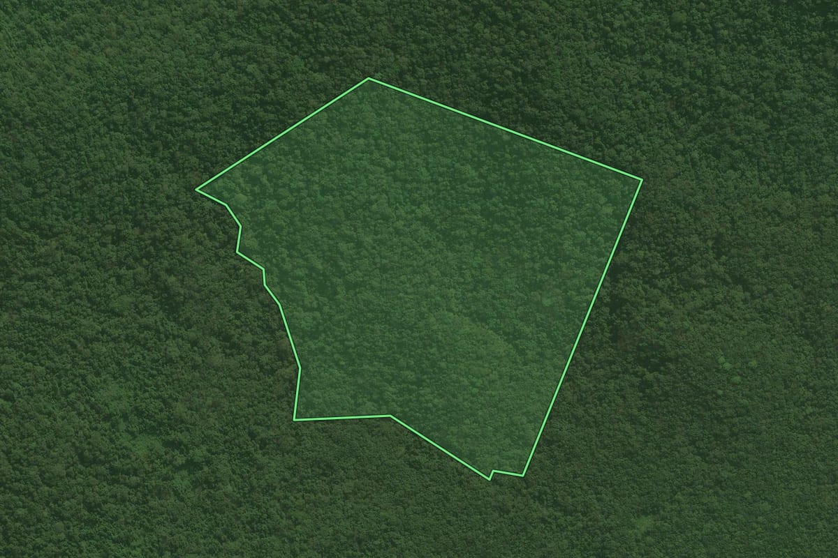 Imagem de satélite do imóvel rural em Antonina (PR), com o contorno declarado no CAR desenhado por cima.