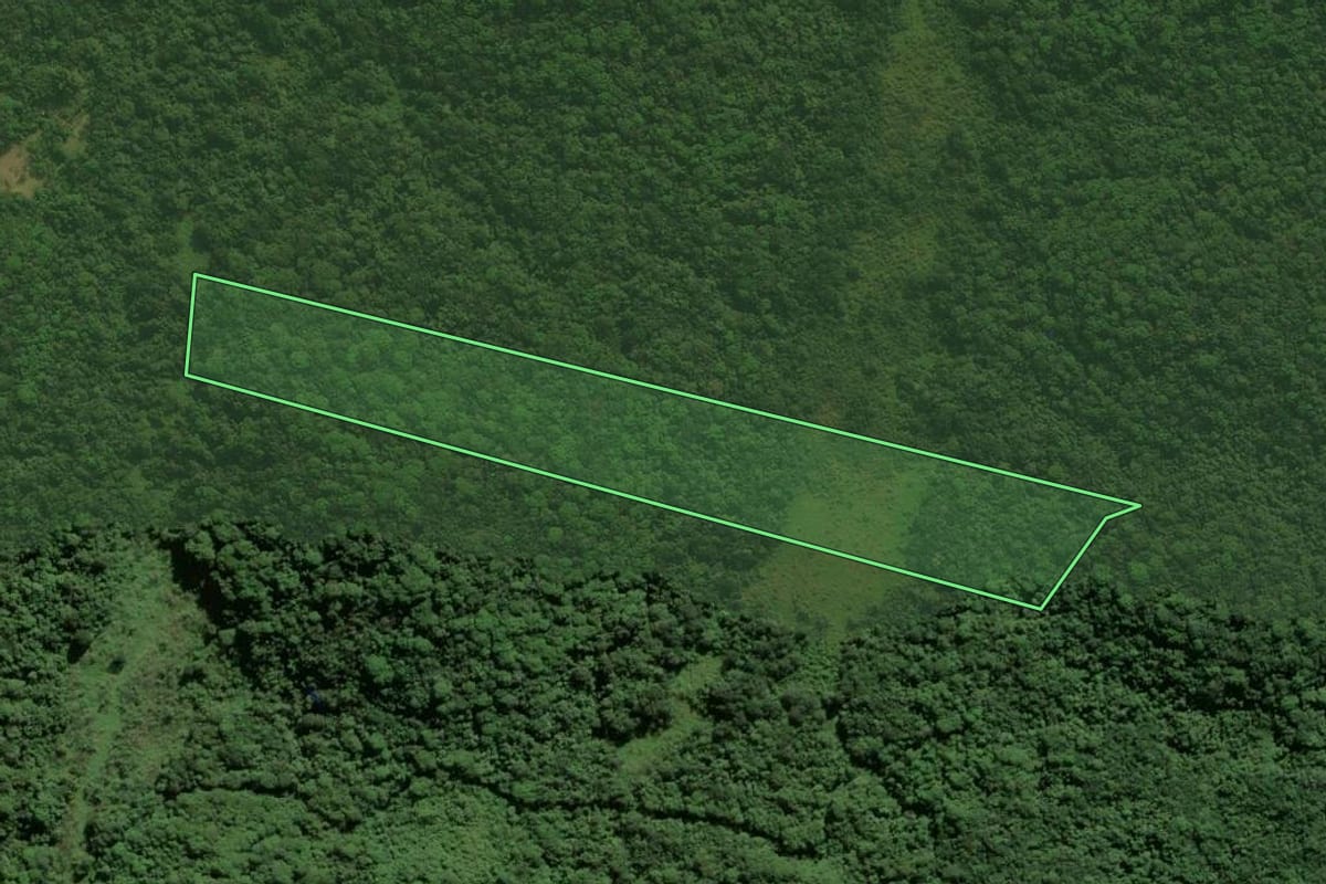 Imagem de satélite do imóvel rural em Antonina (PR), com o contorno declarado no CAR desenhado por cima.