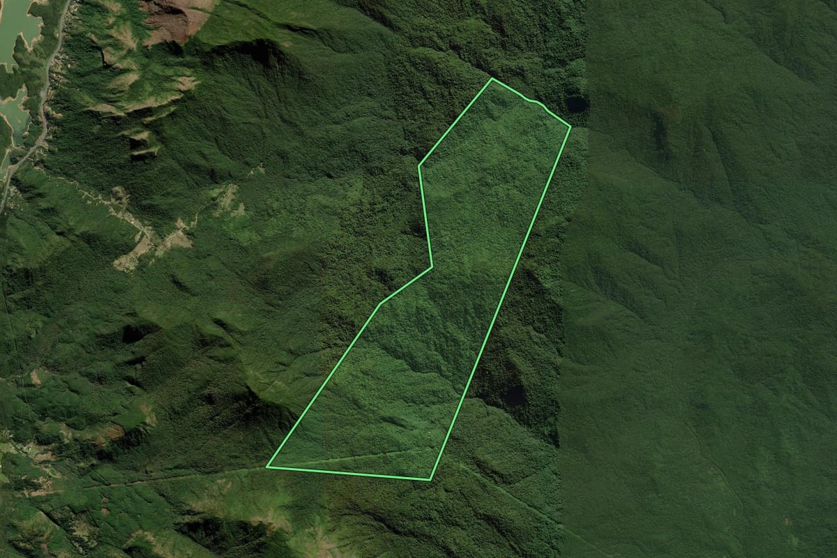 Imagem de satélite do imóvel rural em Antonina (PR), com o contorno declarado no CAR desenhado por cima.