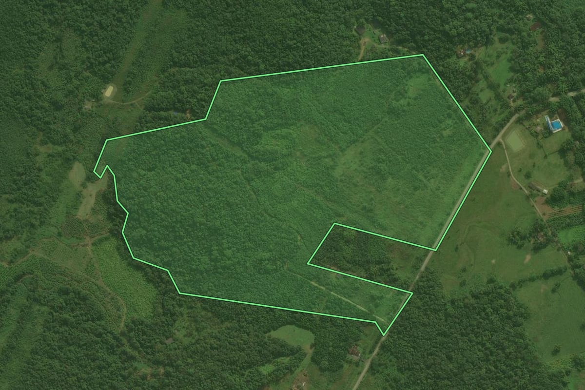 Imagem de satélite do imóvel rural em Antonina (PR), com o contorno declarado no CAR desenhado por cima.