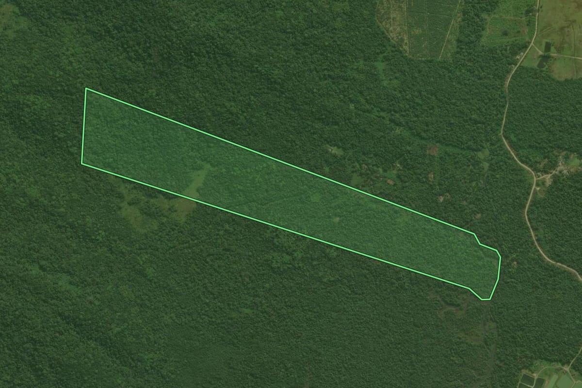 Imagem de satélite do imóvel rural em Antonina (PR), com o contorno declarado no CAR desenhado por cima.
