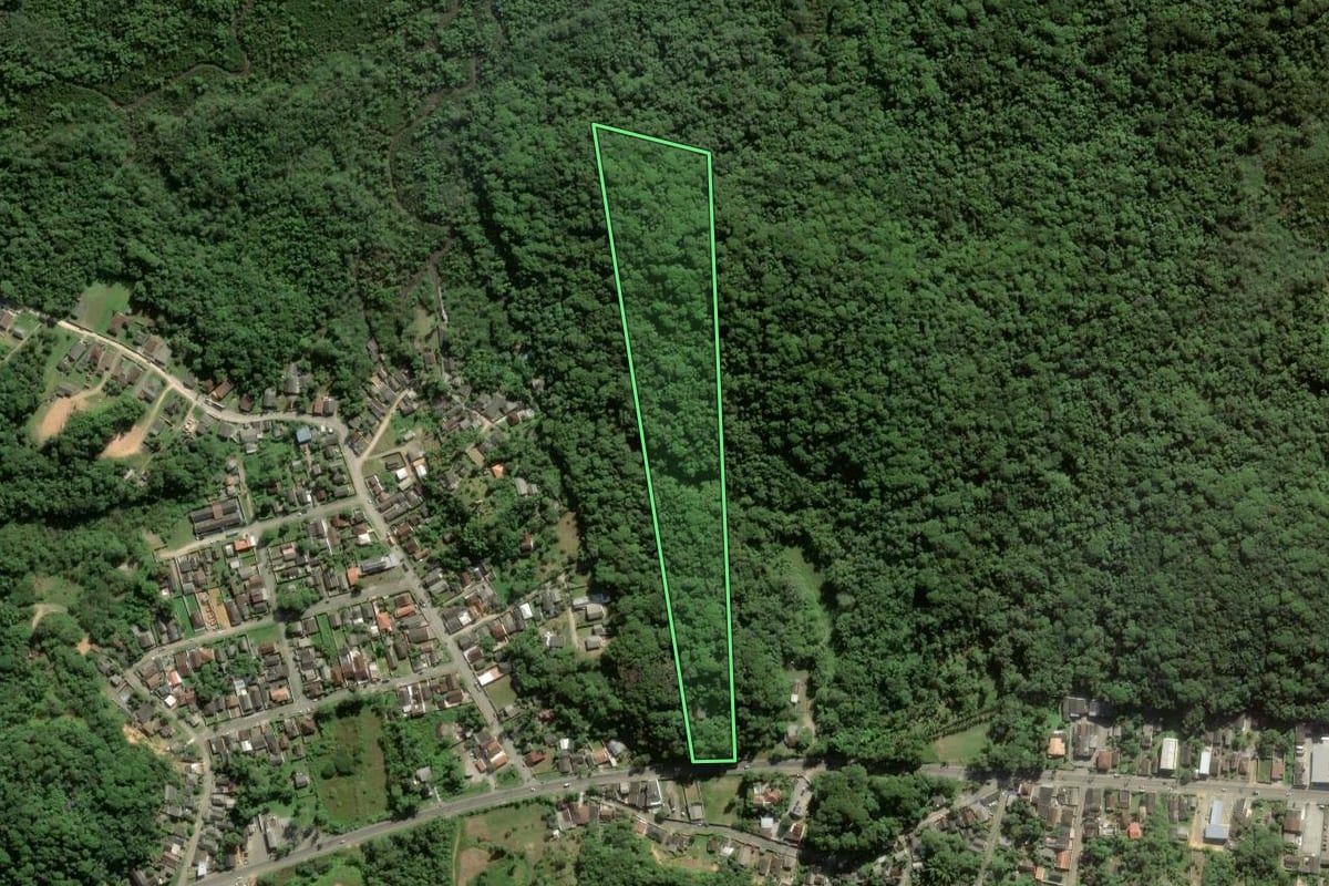 Imagem de satélite do imóvel rural em Antonina (PR), com o contorno declarado no CAR desenhado por cima.