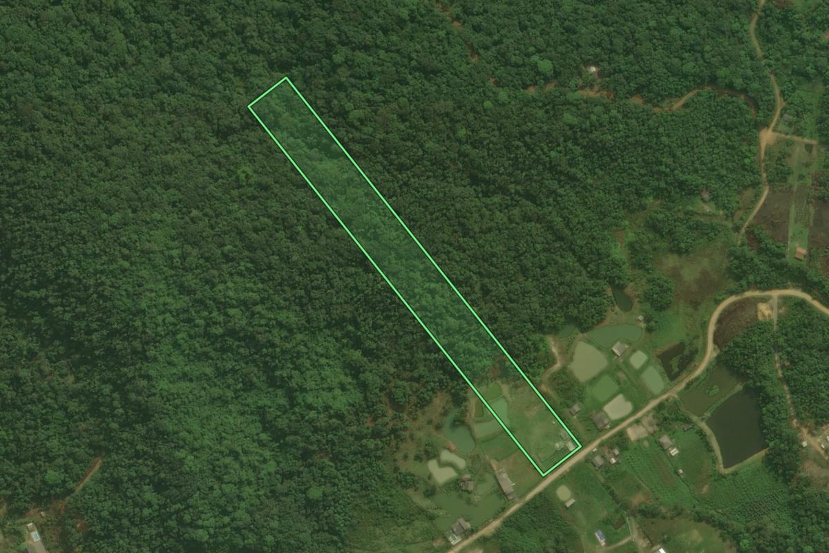 Imagem de satélite do imóvel rural em Antonina (PR), com o contorno declarado no CAR desenhado por cima.