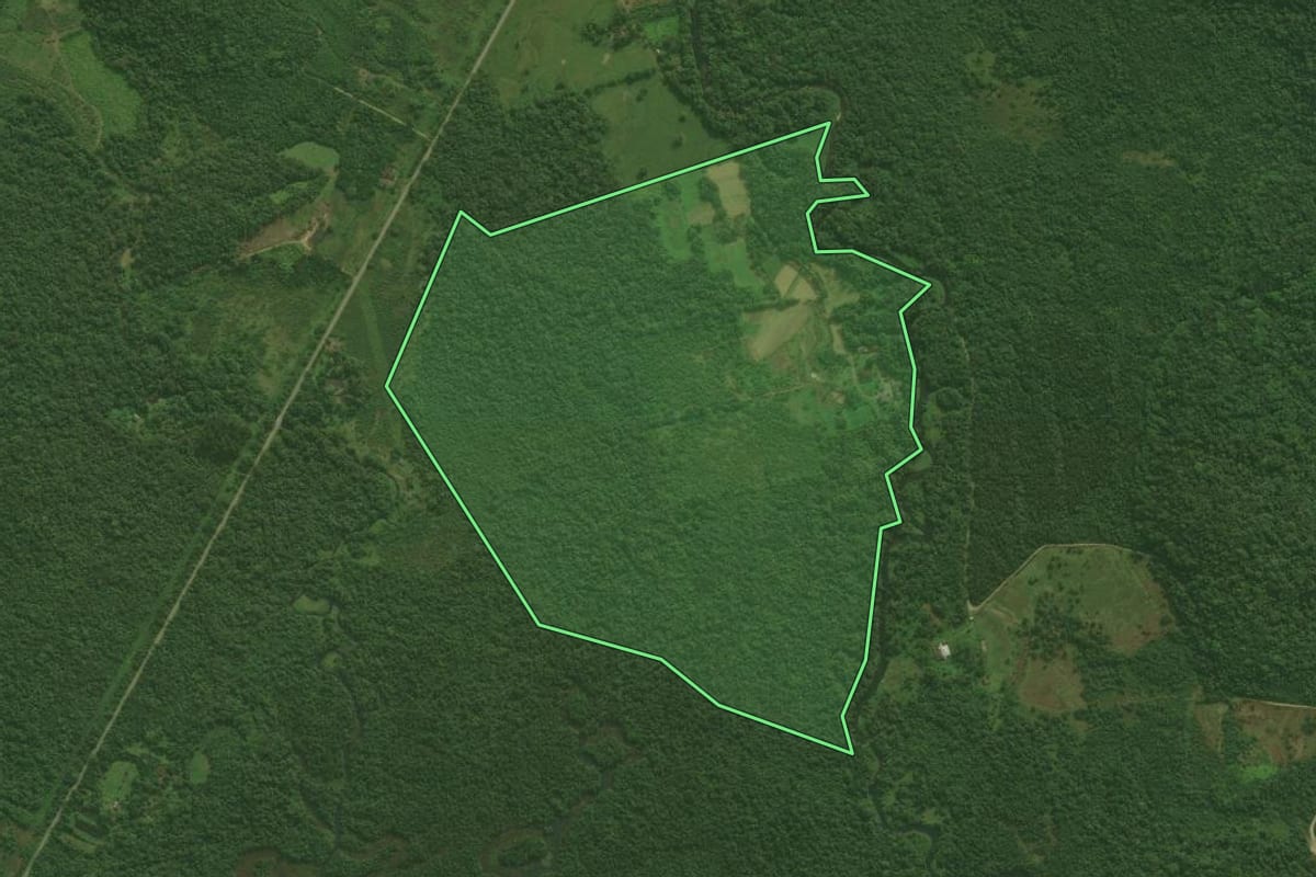 Imagem de satélite do imóvel rural em Antonina (PR), com o contorno declarado no CAR desenhado por cima.
