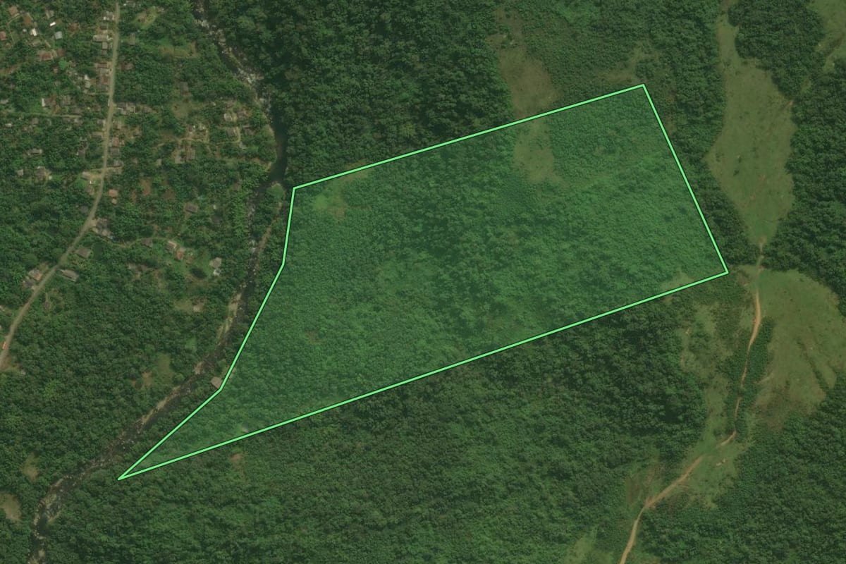 Imagem de satélite do imóvel rural em Antonina (PR), com o contorno declarado no CAR desenhado por cima.