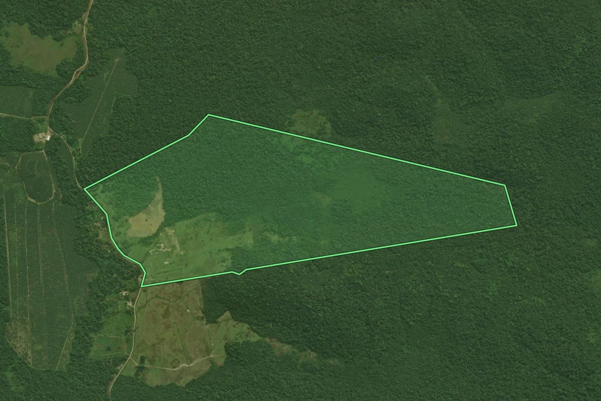 Imagem de satélite do imóvel rural em Antonina (PR), com o contorno declarado no CAR desenhado por cima.