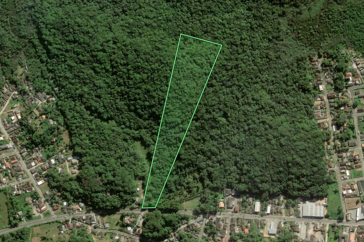 Imagem de satélite do imóvel rural em Antonina (PR), com o contorno declarado no CAR desenhado por cima.