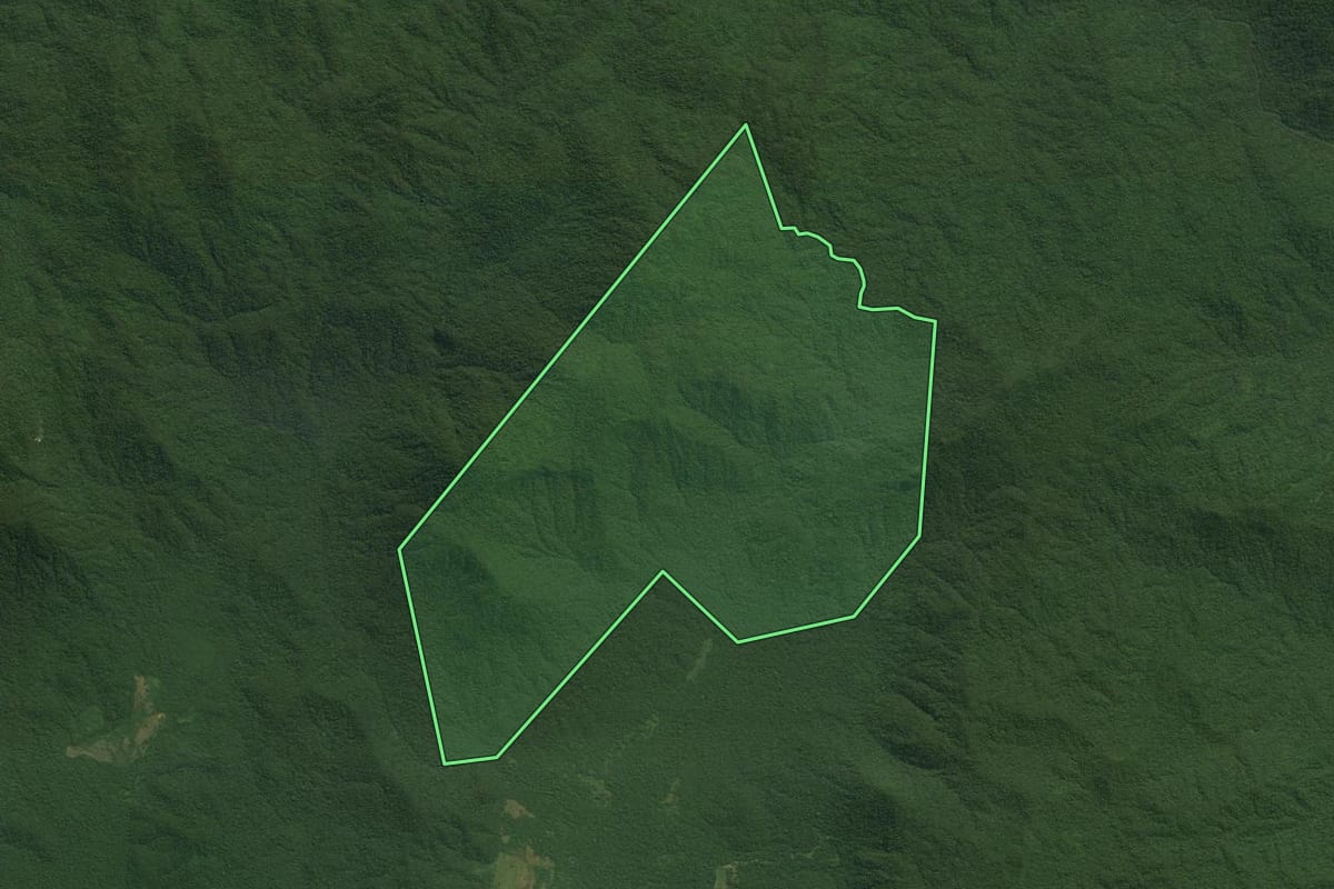 Imagem de satélite do imóvel rural em Antonina (PR), com o contorno declarado no CAR desenhado por cima.