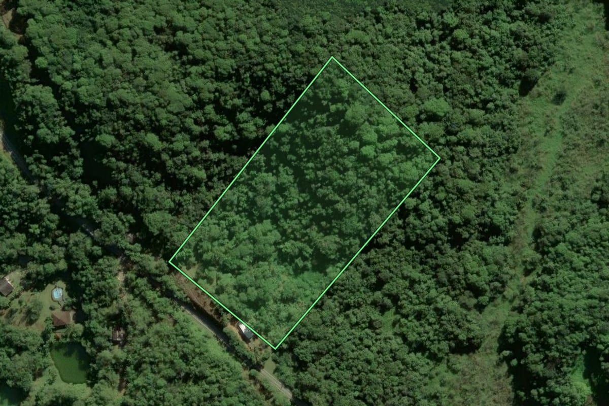 Imagem de satélite do imóvel rural em Antonina (PR), com o contorno declarado no CAR desenhado por cima.