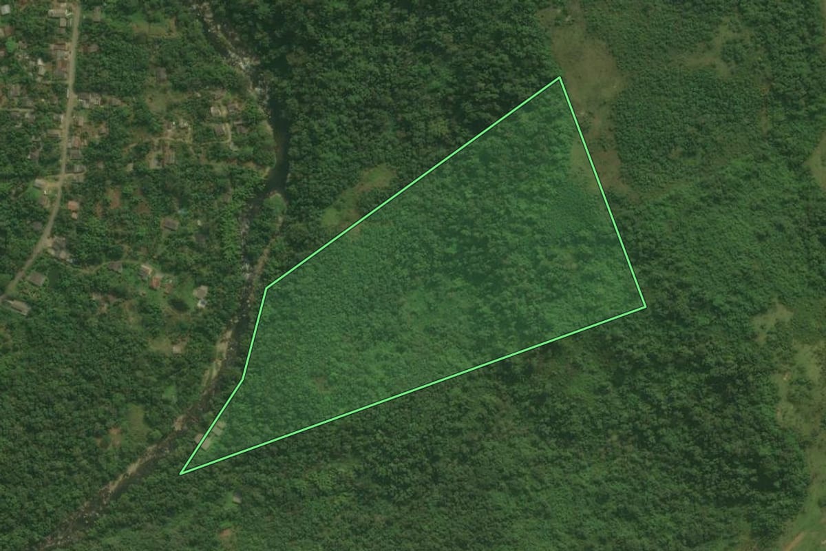 Imagem de satélite do imóvel rural em Antonina (PR), com o contorno declarado no CAR desenhado por cima.