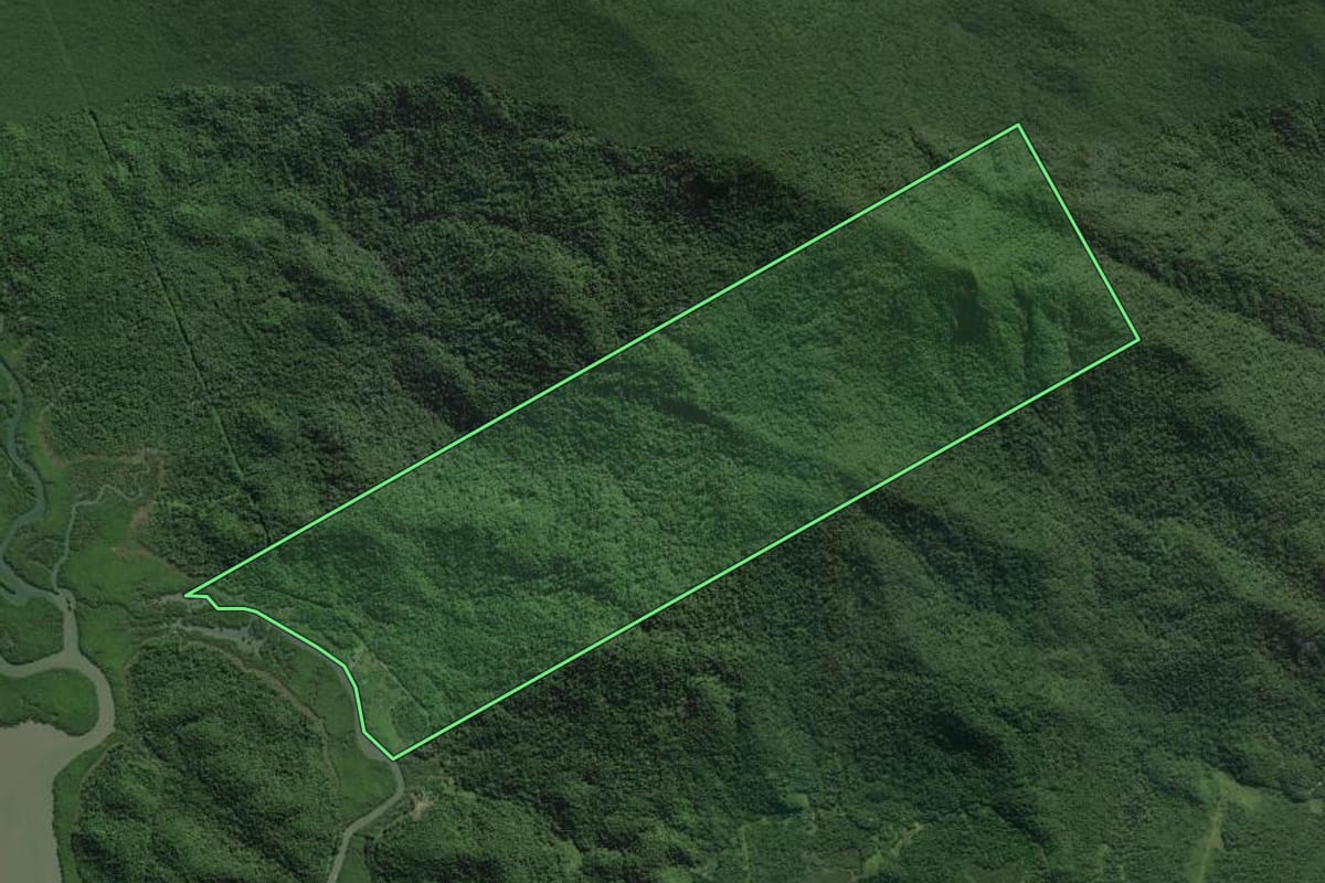 Imagem de satélite do imóvel rural em Antonina (PR), com o contorno declarado no CAR desenhado por cima.