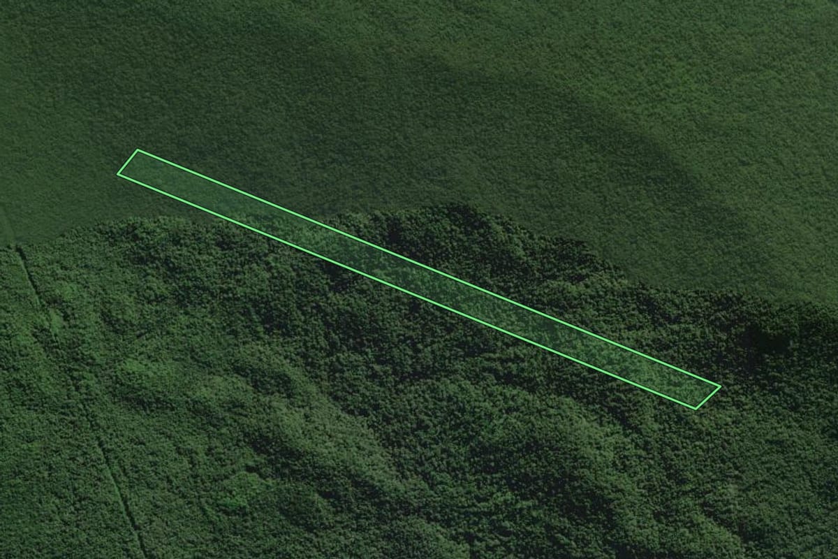 Imagem de satélite do imóvel rural em Antonina (PR), com o contorno declarado no CAR desenhado por cima.
