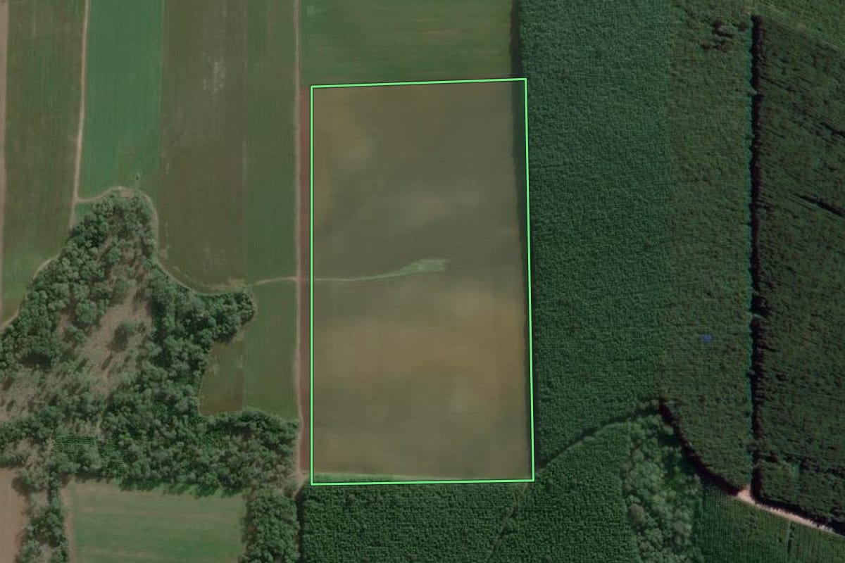 Imagem de satélite do imóvel rural em Antônio Olinto (PR), com o contorno declarado no CAR desenhado por cima.