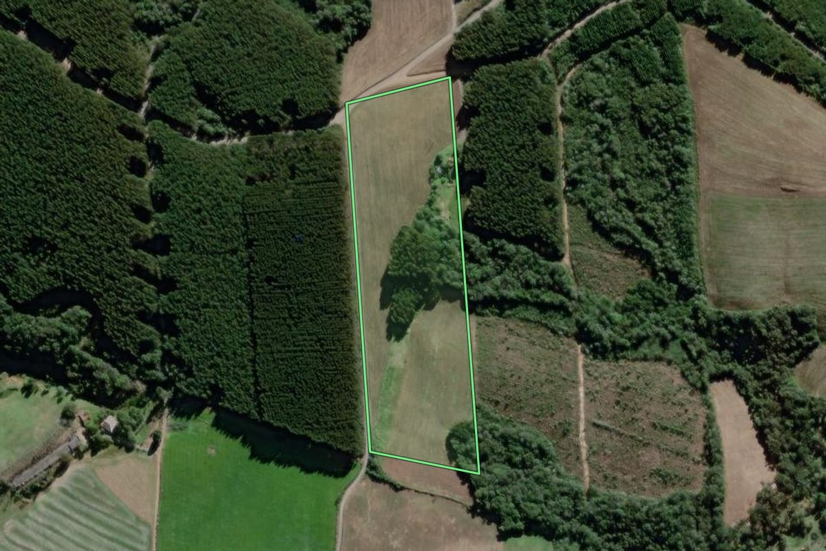 Imagem de satélite do imóvel rural em Antônio Olinto (PR), com o contorno declarado no CAR desenhado por cima.
