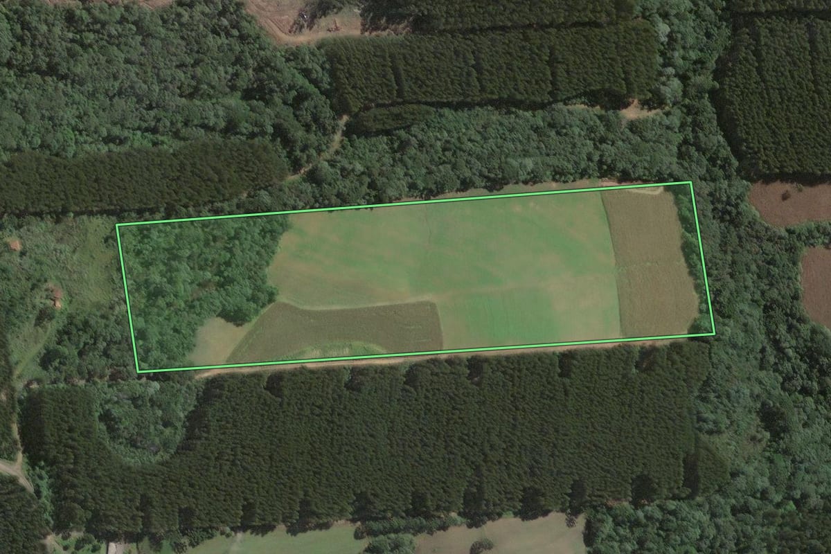 Imagem de satélite do imóvel rural em Antônio Olinto (PR), com o contorno declarado no CAR desenhado por cima.