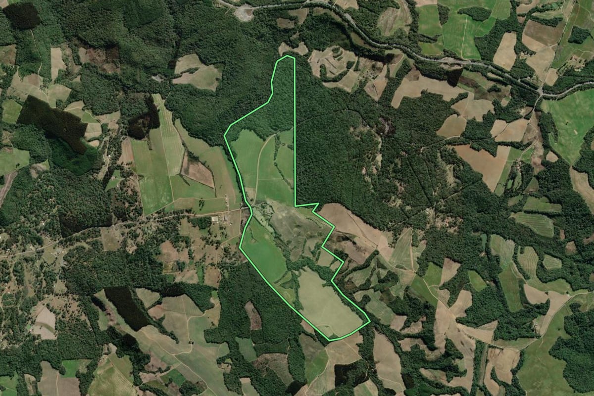 Imagem de satélite do imóvel rural em Antônio Olinto (PR), com o contorno declarado no CAR desenhado por cima.