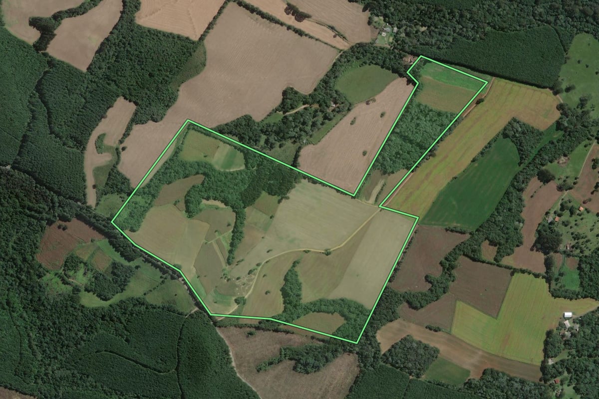 Imagem de satélite do imóvel rural em Antônio Olinto (PR), com o contorno declarado no CAR desenhado por cima.