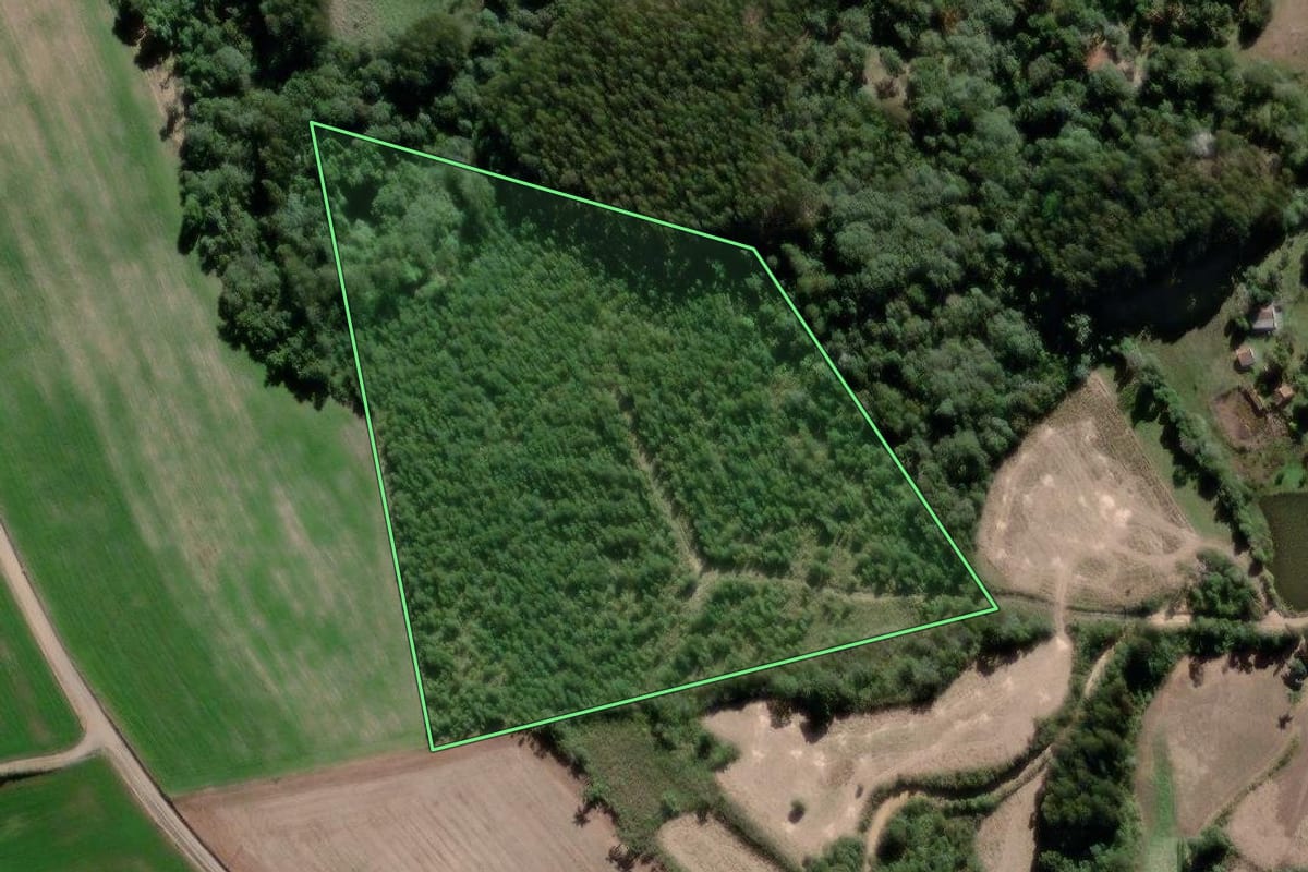 Imagem de satélite do imóvel rural em Antônio Olinto (PR), com o contorno declarado no CAR desenhado por cima.