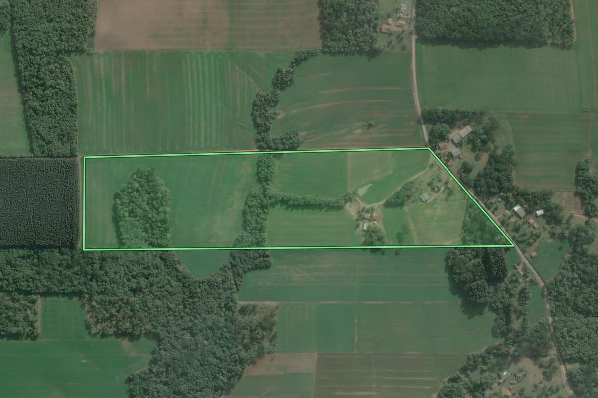 Imagem de satélite do imóvel rural em Antônio Olinto (PR), com o contorno declarado no CAR desenhado por cima.