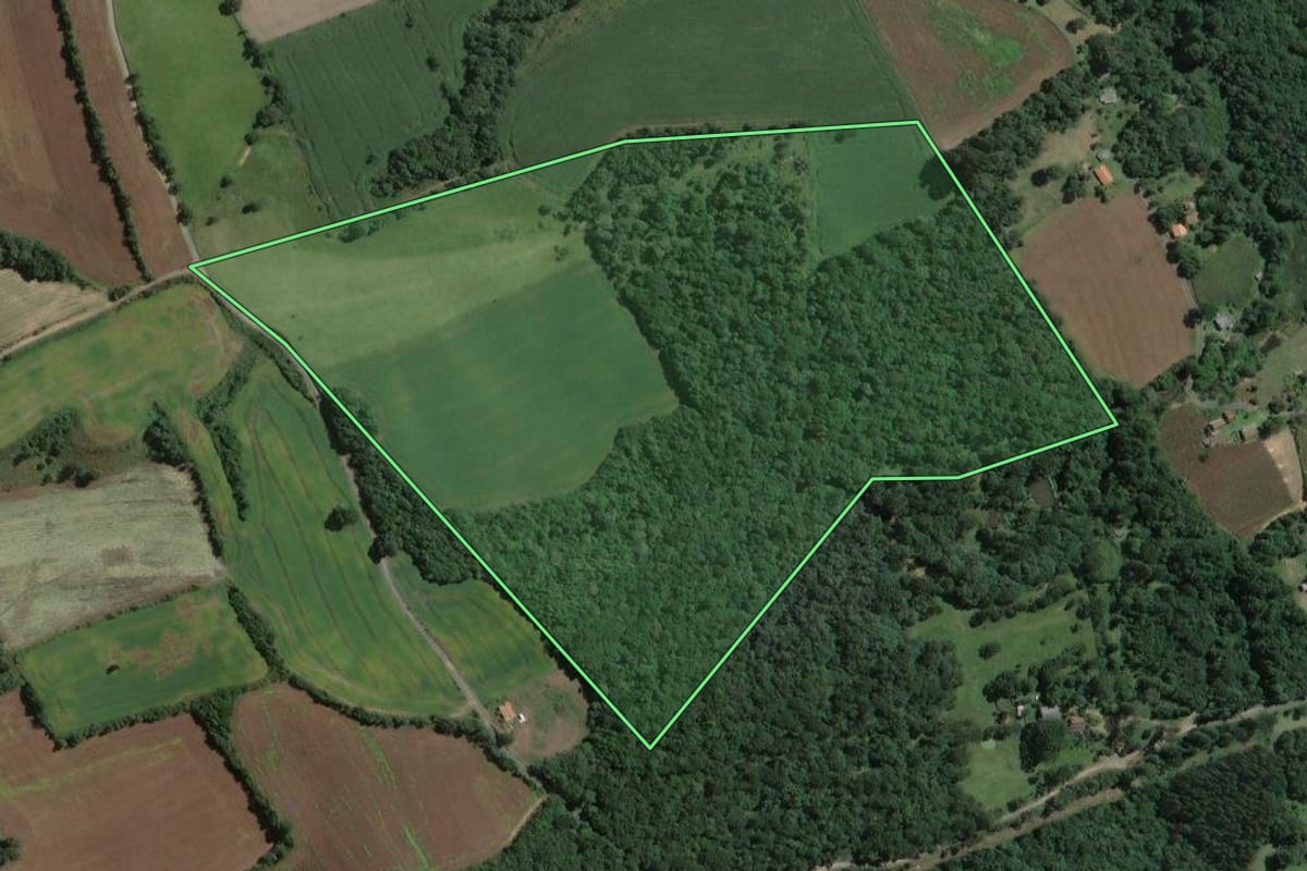 Imagem de satélite do imóvel rural em Antônio Olinto (PR), com o contorno declarado no CAR desenhado por cima.