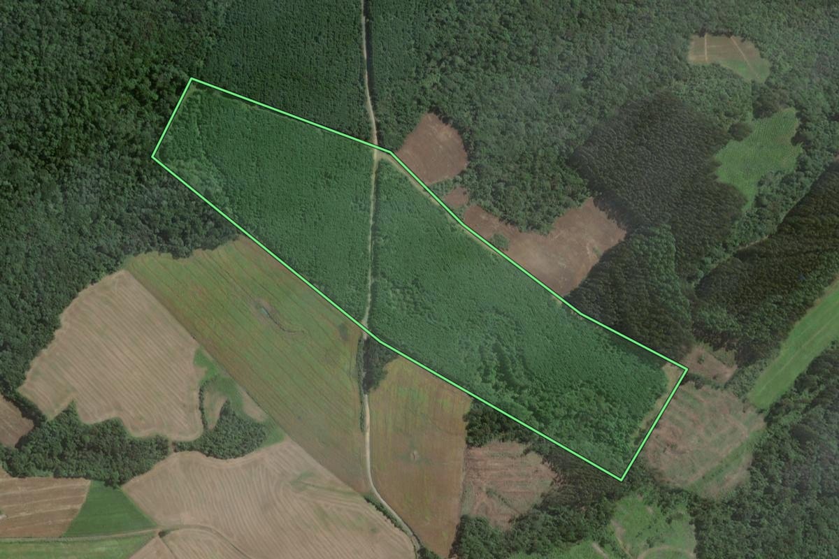 Imagem de satélite do imóvel rural em Antônio Olinto (PR), com o contorno declarado no CAR desenhado por cima.