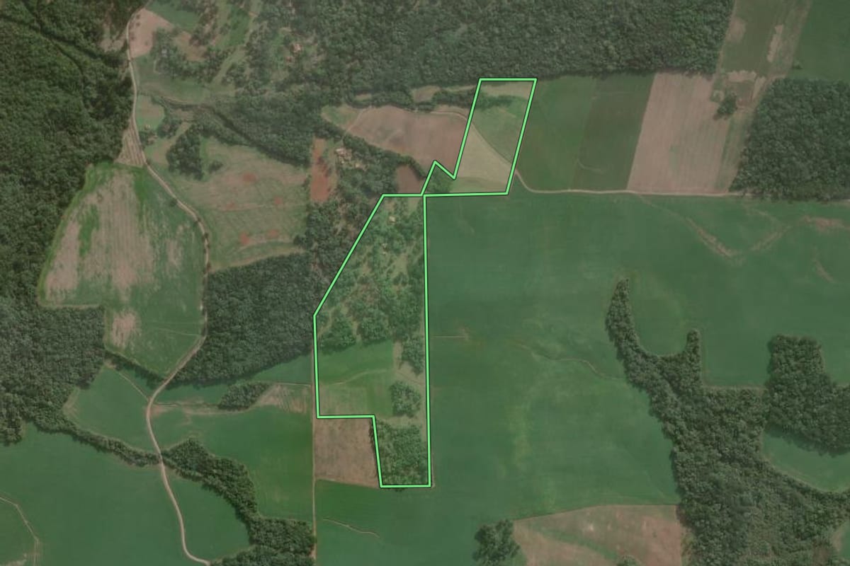 Imagem de satélite do imóvel rural em Antônio Olinto (PR), com o contorno declarado no CAR desenhado por cima.