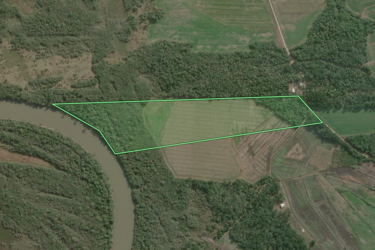 Imagem de satélite do imóvel rural em Antônio Olinto (PR), com o contorno declarado no CAR desenhado por cima.