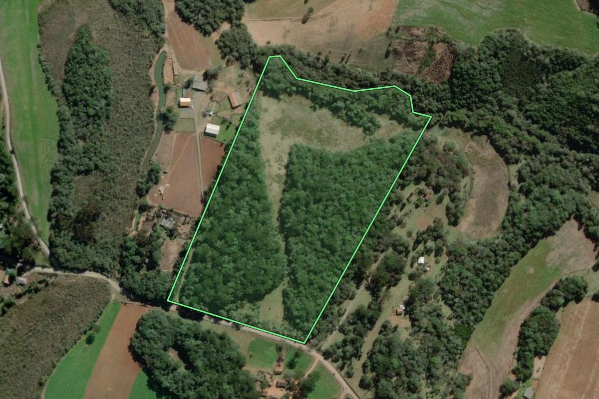 Imagem de satélite do imóvel rural em Antônio Olinto (PR), com o contorno declarado no CAR desenhado por cima.