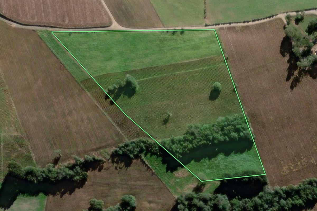 Imagem de satélite do imóvel rural em Antônio Olinto (PR), com o contorno declarado no CAR desenhado por cima.