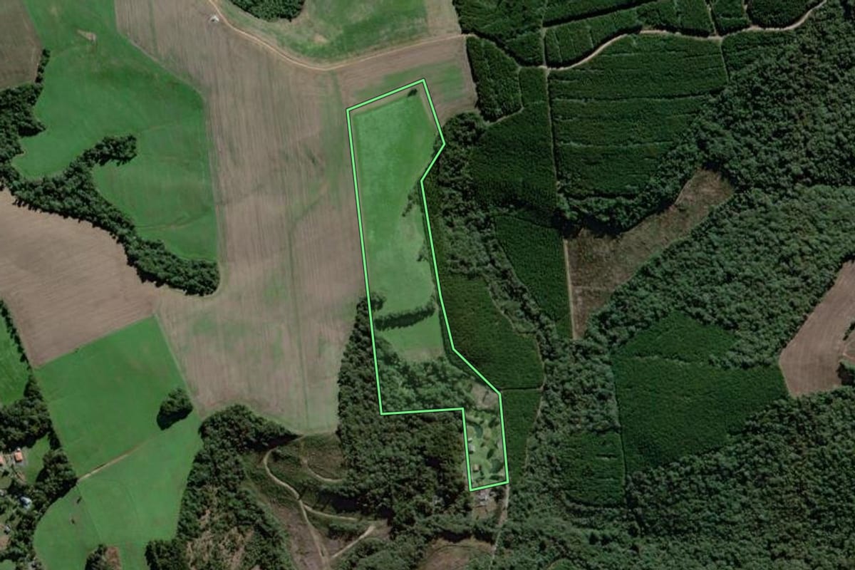 Imagem de satélite do imóvel rural em Antônio Olinto (PR), com o contorno declarado no CAR desenhado por cima.