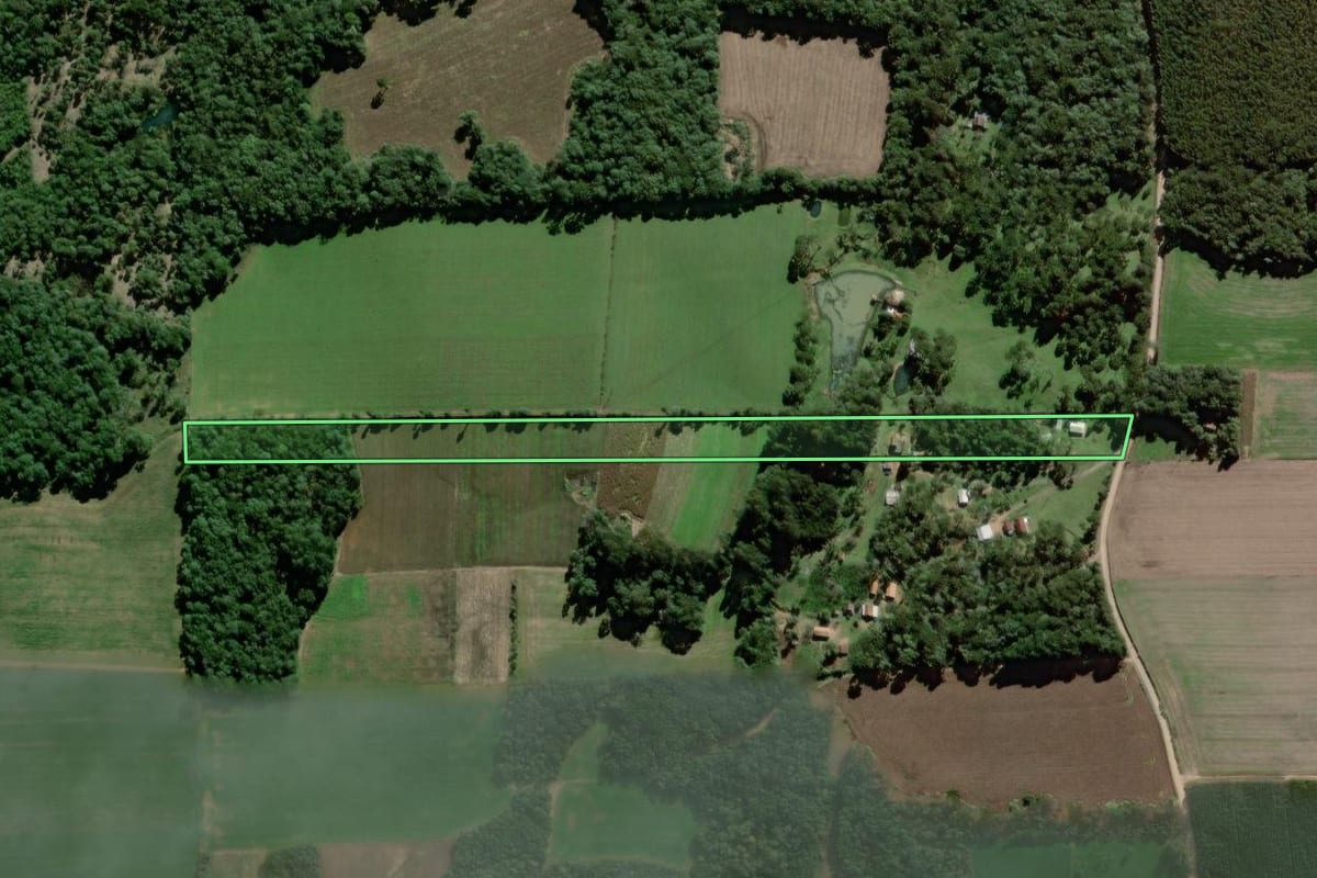 Imagem de satélite do imóvel rural em Antônio Olinto (PR), com o contorno declarado no CAR desenhado por cima.