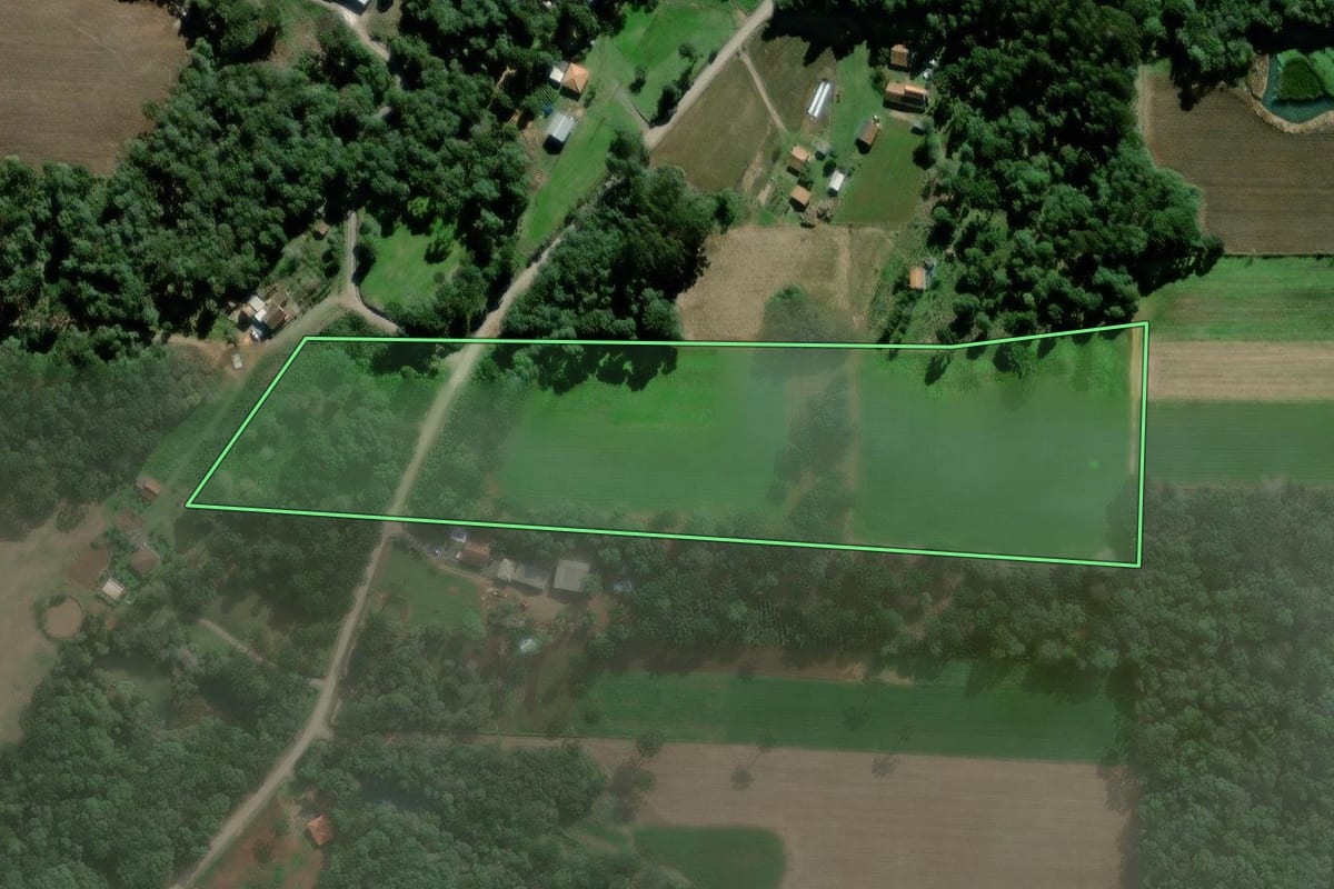 Imagem de satélite do imóvel rural em Antônio Olinto (PR), com o contorno declarado no CAR desenhado por cima.