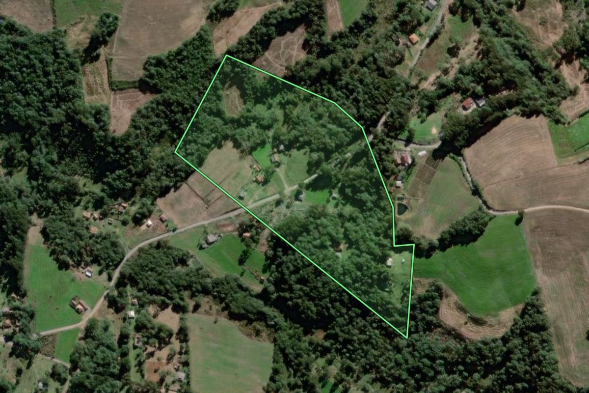 Imagem de satélite do imóvel rural em Antônio Olinto (PR), com o contorno declarado no CAR desenhado por cima.
