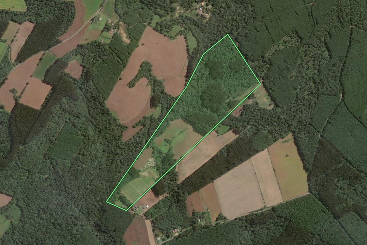 Imagem de satélite do imóvel rural em Antônio Olinto (PR), com o contorno declarado no CAR desenhado por cima.
