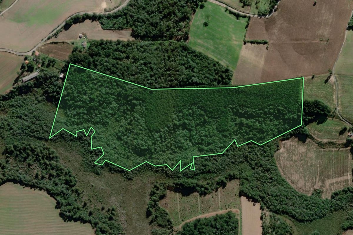 Imagem de satélite do imóvel rural em Antônio Olinto (PR), com o contorno declarado no CAR desenhado por cima.