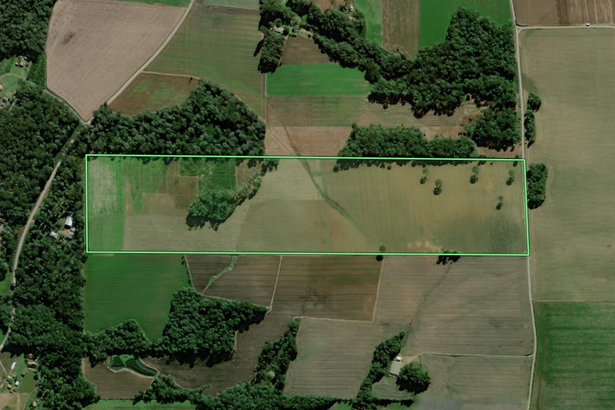 Imagem de satélite do imóvel rural em Antônio Olinto (PR), com o contorno declarado no CAR desenhado por cima.