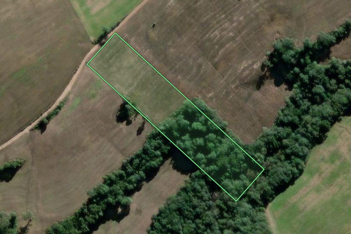 Imagem de satélite do imóvel rural em Antônio Olinto (PR), com o contorno declarado no CAR desenhado por cima.