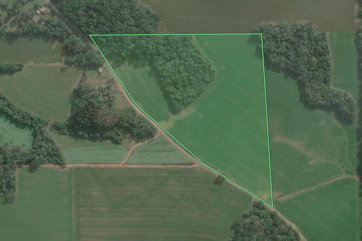 Imagem de satélite do imóvel rural em Antônio Olinto (PR), com o contorno declarado no CAR desenhado por cima.