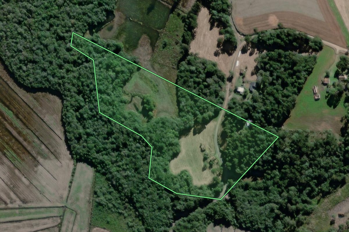 Imagem de satélite do imóvel rural em Antônio Olinto (PR), com o contorno declarado no CAR desenhado por cima.