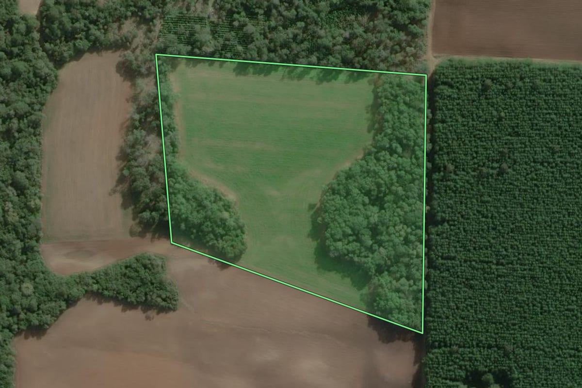 Imagem de satélite do imóvel rural em Antônio Olinto (PR), com o contorno declarado no CAR desenhado por cima.