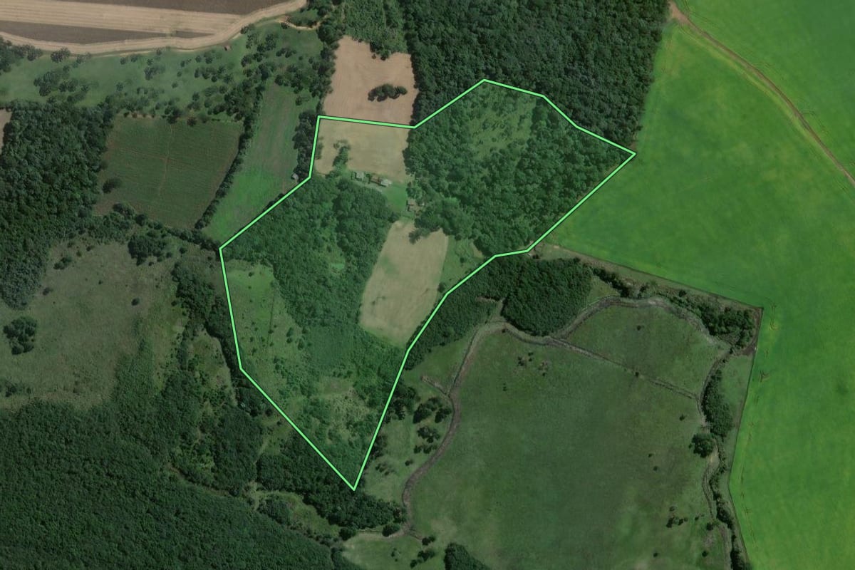 Imagem de satélite do imóvel rural em Antônio Olinto (PR), com o contorno declarado no CAR desenhado por cima.