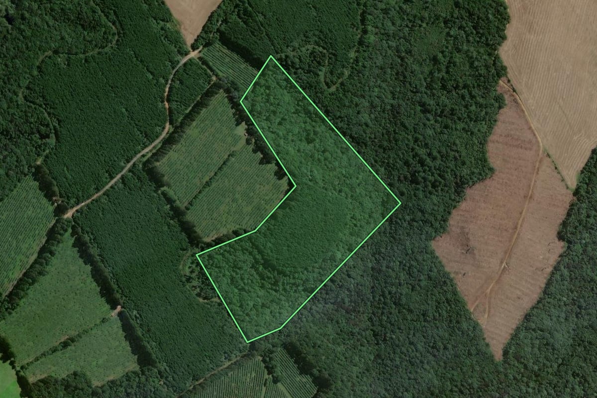 Imagem de satélite do imóvel rural em Antônio Olinto (PR), com o contorno declarado no CAR desenhado por cima.