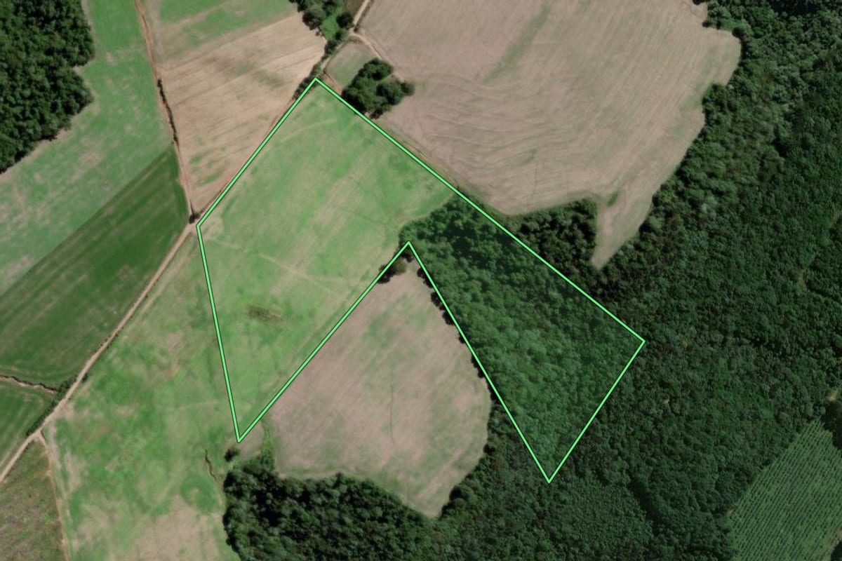 Imagem de satélite do imóvel rural em Antônio Olinto (PR), com o contorno declarado no CAR desenhado por cima.
