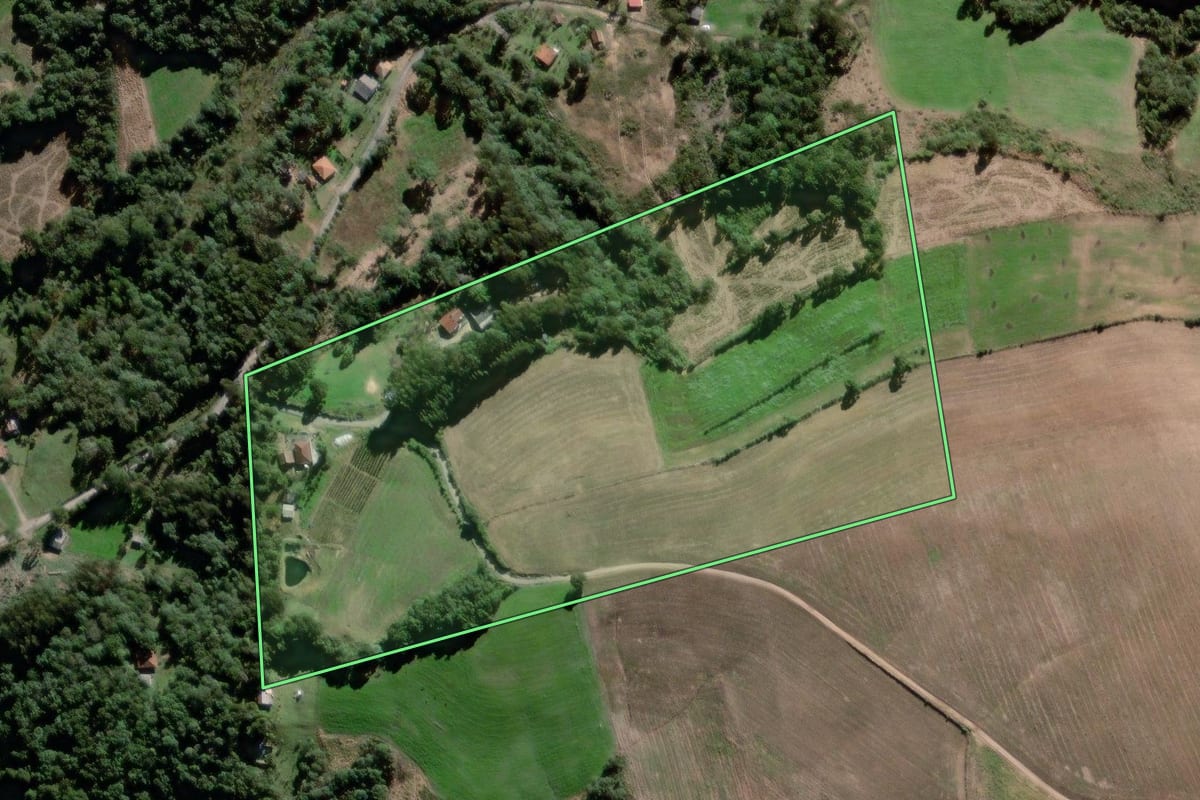 Imagem de satélite do imóvel rural em Antônio Olinto (PR), com o contorno declarado no CAR desenhado por cima.