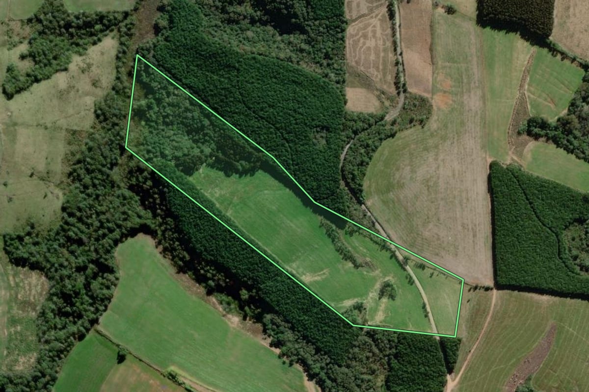 Imagem de satélite do imóvel rural em Antônio Olinto (PR), com o contorno declarado no CAR desenhado por cima.